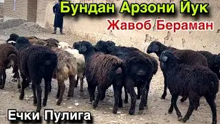 Енг Арзони Шу! ☎️+998 95 216 9377