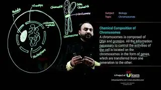 FSc Pre-Medical Biology || Chromosomes || Ulearn