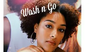 Wash N Go (Suave Professionals Natural Shea Butter & Pure Coconut Oil conditioner)