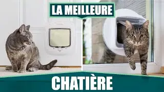 LA MEILLEURE CHATI&Egrave;RE &Agrave; PUCE &Eacute;LECTRONIQUE  - PETSAFE