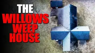Willows Weep