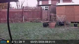 DSCF0059