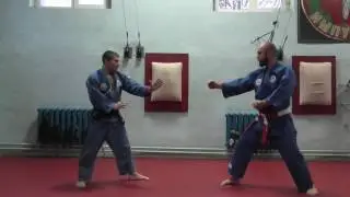 kihon waza 5-3 kyu - full contact jujutsu