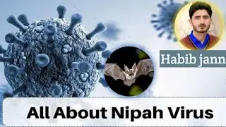 Nipah Virus Explained | Symptoms, Spread, Death Rate & Prevention | in Pashto language 