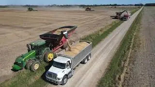 Byars Farms Harvest 2021