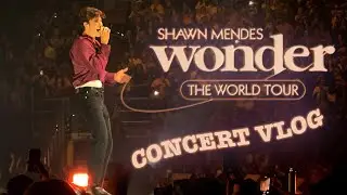 Shawn Mendes Concert VLOG 2022