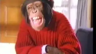 1998 PG Tips Chimps Homework New Pyramid Advert