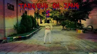 Tae-Geuk Oh Jang 5