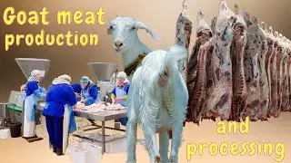 Goat Meat Production and Processing  | Farming Menagerie