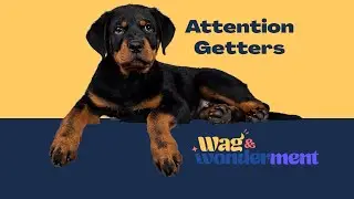 Training Attention-Getters