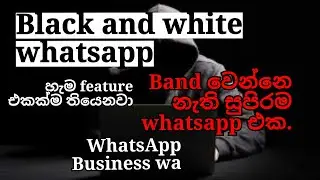 [SAIU] MELHOR WHATSAPP IMUNE ATUALIZADO BUSINESS | whatsapp imune business | whatsapp business imune