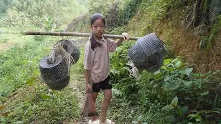 Catch fish with a bagua cage - Poor girl alone living off grid, survival in the forest