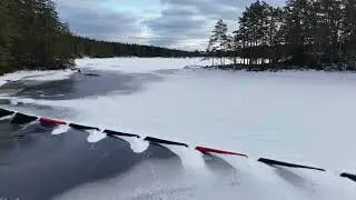 DJI 20260201131348 0006 D