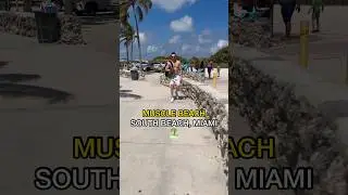 Muscle beach, South Beach, MIAMI 🏝️💪