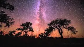 Tygris - Lyra (T-Mass Remix)