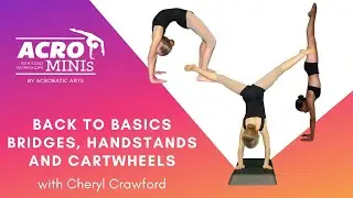 Ep 65    Back to Basics - Bridges, Handstands, and Cartwheels with Cheryl Crawford