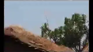 Sekesa