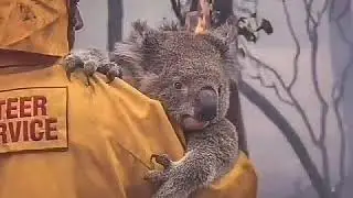PrayForAustralia