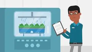 Green Roof Video
