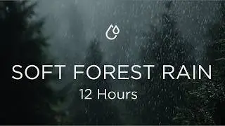 Soft Forest Rain (Black Screen, 12 Hours) //Long-form ambient soundscape for sleep and background.