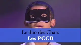 Le duo des chats - Les PCCB