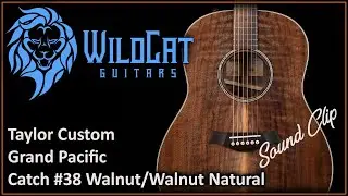 Taylor Custom Grand Pacific Catch #38 Walnut/Walnut Natural #6StringJungle