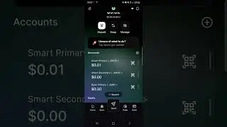 basic primary wallet bug *another video