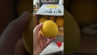 Bergamot!!! #cheong #citrus #cooking #fruit #home #kitchen
