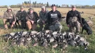 Mid October Manitoba Waterfowl Hunting, Hammering a limit of 40 Canada Geese! - Interlake Outdoors