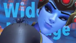 What the best console widow settings look like | Overwatch Montage and settings