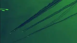 threshold 01