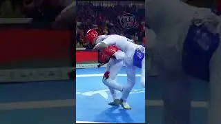 Double Kick KO in Taekwondo 👆