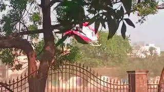 CM YS Jagan Helicopter Landing in Nellore