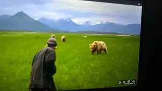 Meet BearMan reaction
