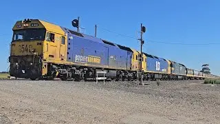 4MC6 PN up empty grainy (G540 BL33 G523, 50H), Dimboola to Oaklands, 1530, 15/10/25, Dooen VIC 