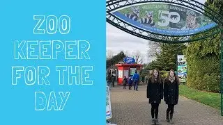 Zoo keeper for the day at Banham Zoo, Norfolk // Birthday Treat