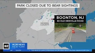 Morris County park shut down after close call with bear