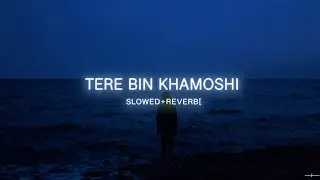 Tere Bin Khamoshi 💔 | Lofi Love Song | Emotional Hindi Song 2025