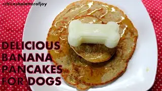 Pancakes for dogs | Dog friendly pancakes