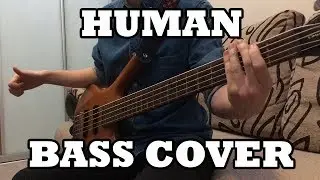 Rag'n'Bone Man - Human [Bass cover]