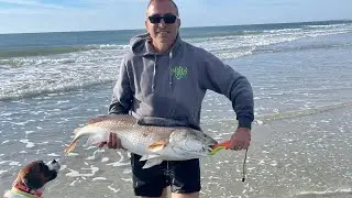 SC Bull Red Run is on Fire
