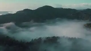 D&atilde;y n&uacute;i Alps cao nhất Ch&acirc;u &Acirc;u - Nature View