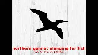 Northern Gannet Plunging for Fish Silhouette SVG, Seabird Clipart, Ocean Bird Vector, Nature Hunting