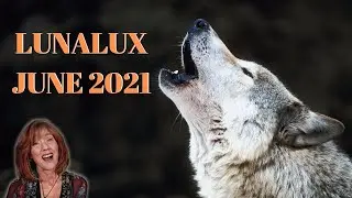 LunaLux by Wolf & Thyme Review / June 2021 / Ocean Creation