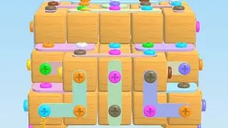 Screw Out 3D Level 12
