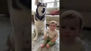 Baby Copies Dog With Confidence#trending #viral #short #dog #cat
