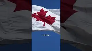 КАНАДА БЛИЖЕ ЧЕМ КАЖЕТСЯ! #авиасейлс #канада #canada #какпереехать #иммиграция #заграницей #работа