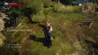 Witcher 3 - A Surprise Inheritance