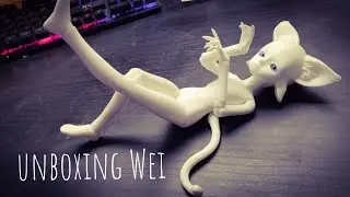 BJD Unboxing || Resinsoul Wei