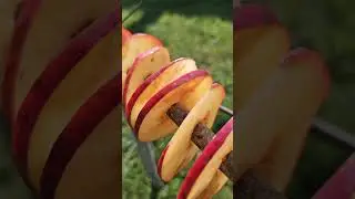 Preserving apples with or without electricity 🍎